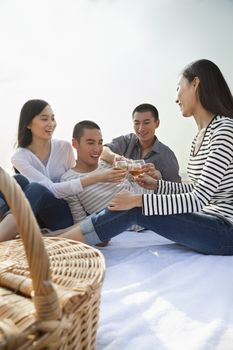 Young Friends Toast Each Other at Their Picnic on the Beach