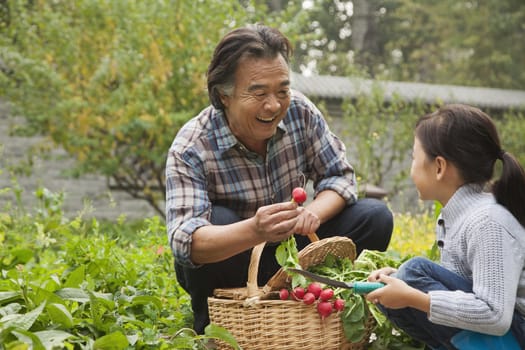 Grandfather and granddaughter in garden