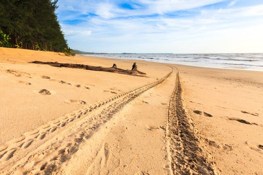 Tracks on the golden sand leading into the sea