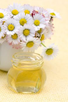 honey and daisies