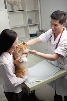 Woman with pet dog in veterinarian's office