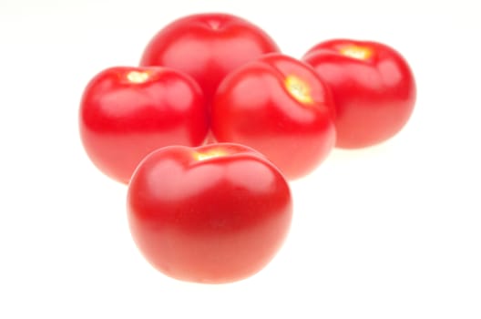 Isolated tomato in front of others, on white