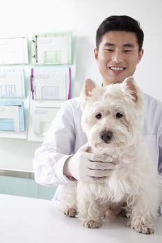 Veterinarian with dog in office
