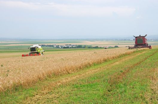 Harvest time, Combine harvester working in a cereal field