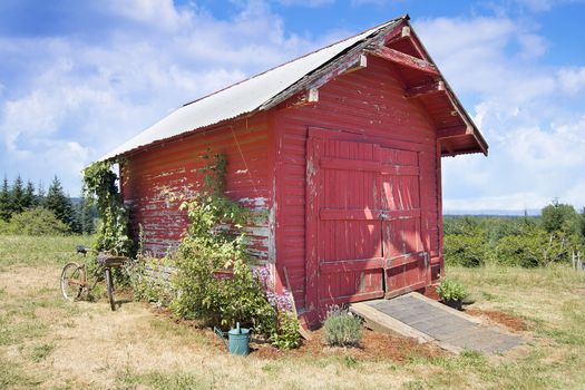 Old Tool Shed Red Barn with Rusty Bicycle and  Watering Can Landscape Display at Farm