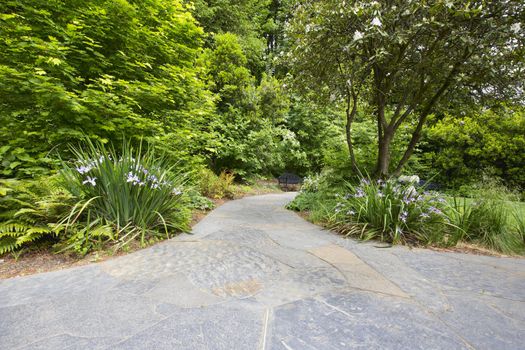 Slate Stone Garden Path Walkway with Oregon Irises Trees and Shrubs