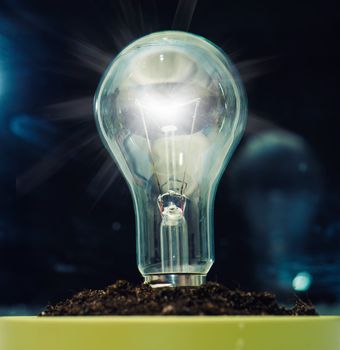 light bulb in a soil