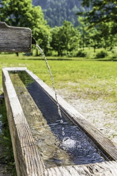 Flowing drink fountain with running water in the Austrian Alps with  trees in summer