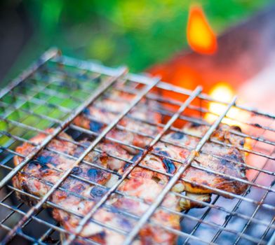 grilled meat on the grill