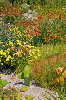 Colorful summer garden with assorted flowers and cactus plants