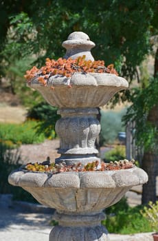 Stone water fountain with plants in on sunny day in garden