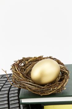 Bright gold nest egg sits on keyboard and books.  Metaphor picks up on STEM, Science Technology, Engineering, and Mathematics, learning as a key to success;  vertical image with copy space above; 