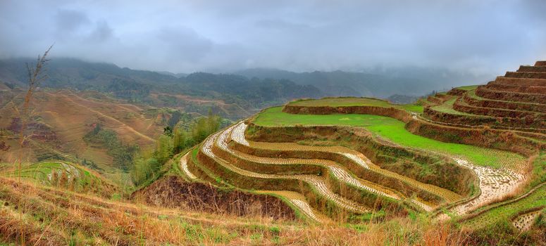  Rice Terraces, Dazhai village, Longsheng County, China. Yao village Dazhai, Longsheng, Guanxi province, south China. Guilin neighborhood, South West China.