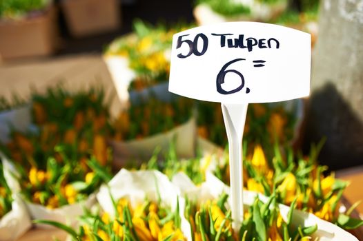 Amsterdam flower market close up details