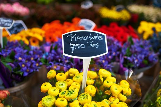Amsterdam flower market close up details