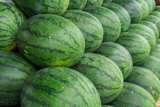 Watermelon set in a row on straw