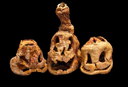 Three Dried Jack-O'-Lantern  Isolated on Black Background