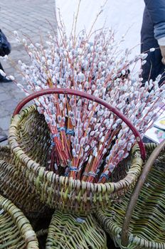 wicker baskets and soft spring sign symbol pussy-willows kittens sold in outdoor street fair market.