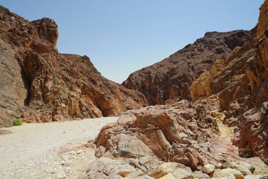 Path in scenic desert canyon, Israel