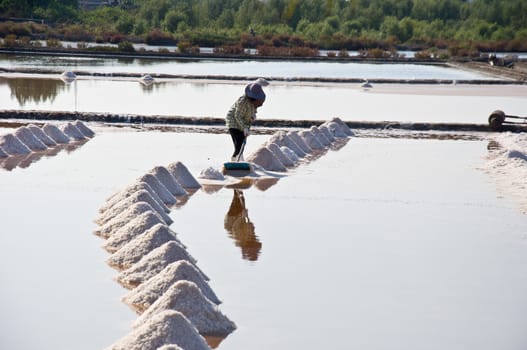 salt farmer working in the field