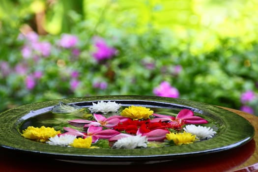 A ceramic pot filled with various colourful floating flowers at the entrance of a hotel in Phuket, Thailand. A traditional practice in Thailand.