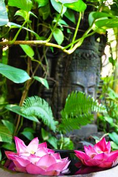 Floating lotus blossoms in a pond in Siem Reap in Cambodia with a Buddha statue in the background