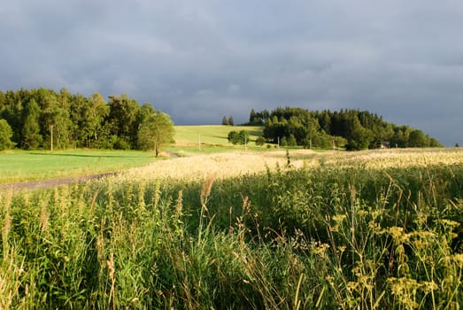 czech landscape