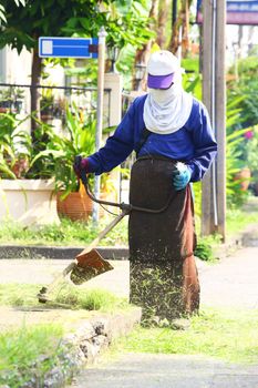 Worker trimming weed on footpath in morning sunlight