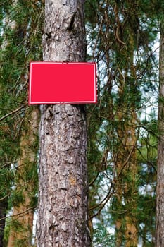 Empty red sign on a tree in the forest