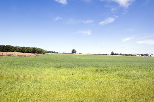 Agriculture farm under high blue sky