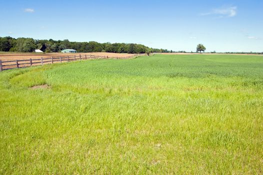 Agriculture farm under high blue sky