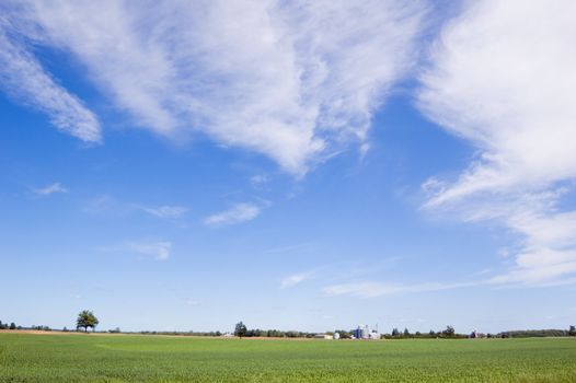 Agriculture farm under high blue sky