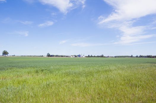 Agriculture farm under high blue sky