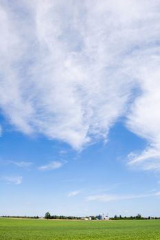 Agriculture farm under high blue sky