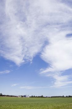 Agriculture farm under high blue sky