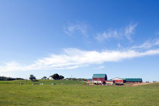 Agriculture farm under high blue sky