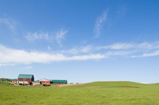 Agriculture farm under high blue sky