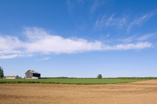 Agriculture farm under high blue sky