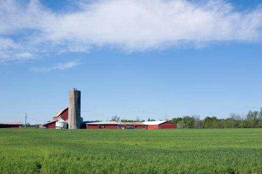 Agriculture farm under high blue sky