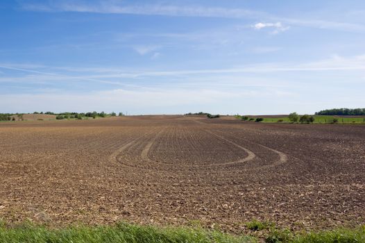 Farm field and green grass under blue sky