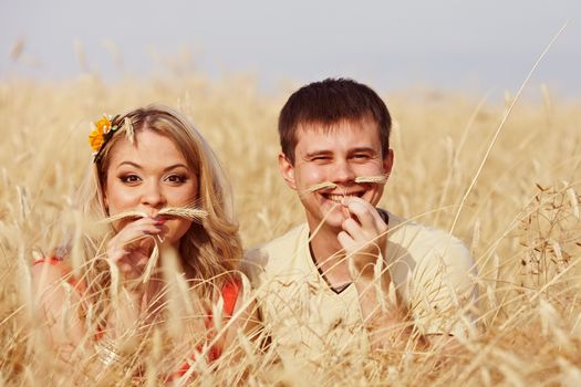 Pair of ears with a mustache in a wheat field