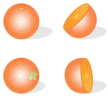 Are drawn in orange in several forms on a white background