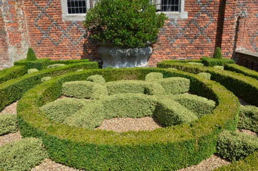 Decorative hedge in garden