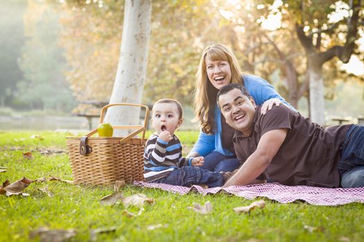 Happy Young Mixed Race Ethnic Family Having a Picnic and Playing In The Park.