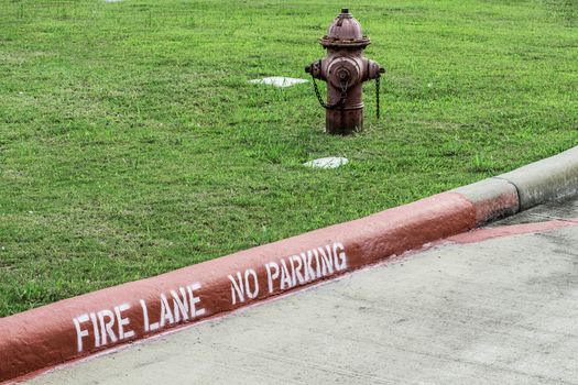 A side angle shot of a curb reading "Fire Lane" and a hydrant behind it.