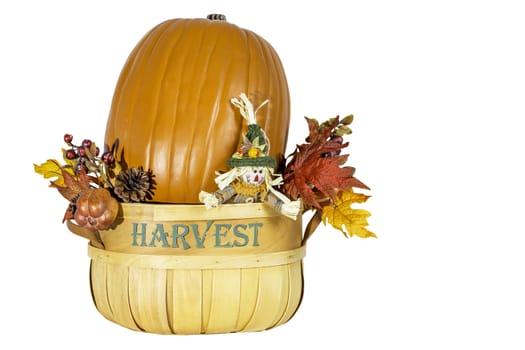 A isolated pumpkin sitting in a harvest bucket with fall colored leaves and a scarecrow.