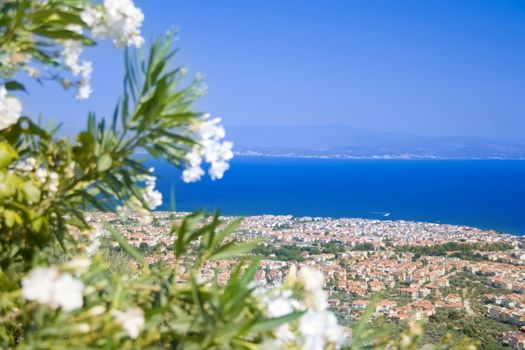 blue sky and sea with white flowers view