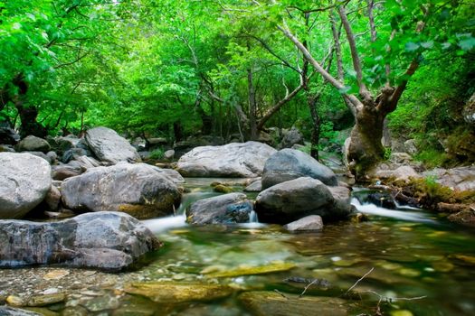 view of stream with tree and stones in spring time