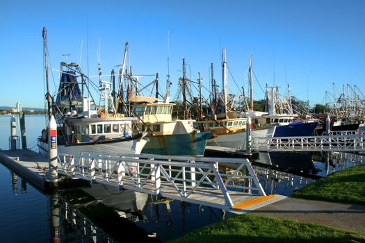 Prawn trawlers and fishing boats at dock in the early morning sun.