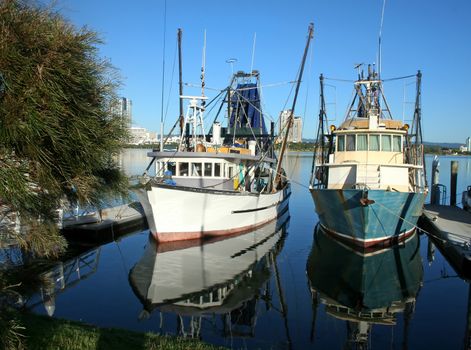 Prawn trawlers and fishing boats at dock in the early morning sun.